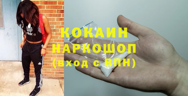 сатива Алексеевка