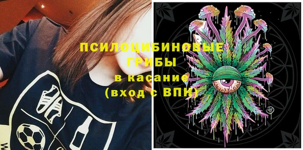 ПСИЛОЦИБИНОВЫЕ ГРИБЫ Алзамай