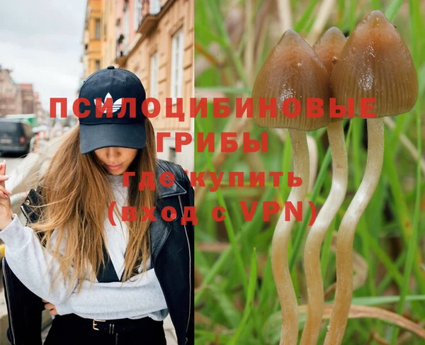 ПСИЛОЦИБИНОВЫЕ ГРИБЫ Алексин
