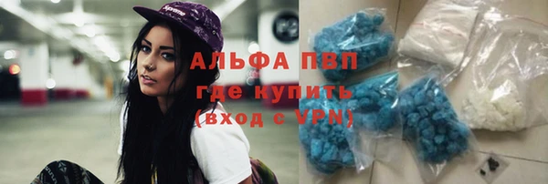 сатива Алексеевка
