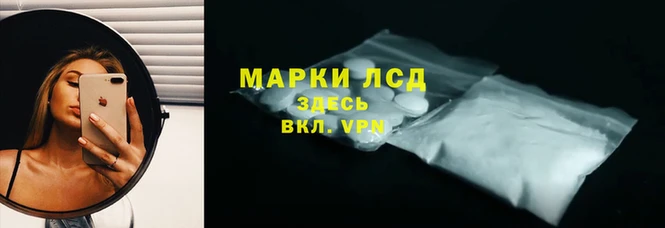 ПСИЛОЦИБИНОВЫЕ ГРИБЫ Алзамай