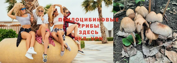 сатива Алексеевка