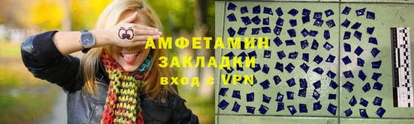 сатива Новозыбков