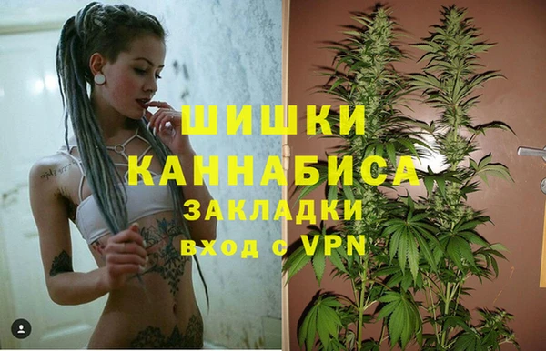 ПСИЛОЦИБИНОВЫЕ ГРИБЫ Алзамай